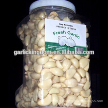 Sell garlic peeled/Fresh peeled garlic/Peeled garlic cloves
